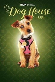 Poster of The Dog House image size 1000x1500