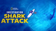 Backdrop of Investigation Shark Attack image size 3840x2160