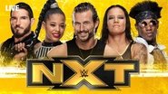 Backdrop of WWE NXT image size 1920x1080