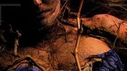 American Crime wallpaper 