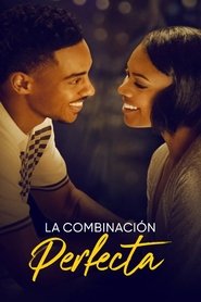 La combinación perfecta Película Completa 1080p [MEGA] [LATINO] 2023