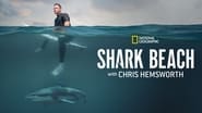 Chris Hemsworth à la rencontre des requins wallpaper 