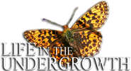 Logo of Life in the Undergrowth image size 495x267