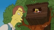 Les Simpson season 21 episode 22