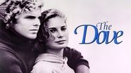 Backdrop of The Dove image size 1280x720