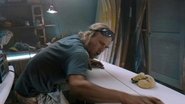 Les Seigneurs de Dogtown wallpaper 