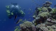 Fascinante barrière de corail  