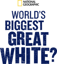 Logo of World's Biggest Great White? image size 1148x1300