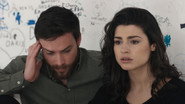 Episode 246