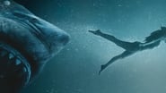 47 Meters Down : Uncaged wallpaper 