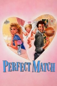 poster The Perfect Match