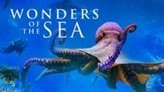 Backdrop of Wonders of the Sea 3D image size 1280x720