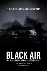 Black Air: The Buick Grand National Documentary 2012 123movies