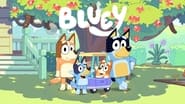 Bluey  