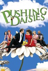 Poster of Pushing Daisies image size 680x1000
