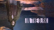 Backdrop of In the Dark image size 1920x1080