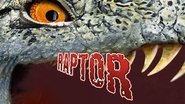 Raptor wallpaper 