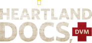 Logo of Heartland Docs, DVM image size 2708x1286
