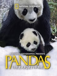 Pandas: The Journey Home 2014 123movies