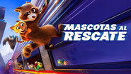 Falcon Express wallpaper 