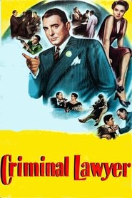 poster Criminal Lawyer
