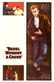 Poster of Rebel Without a Cause image size 1678x2517