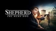 Shepherd: The Hero Dog wallpaper 