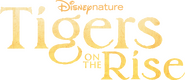 Logo of Tigers on the Rise image size 3002x1291