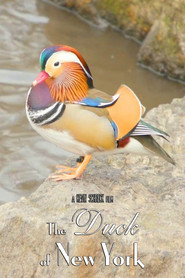 The Duck of New York