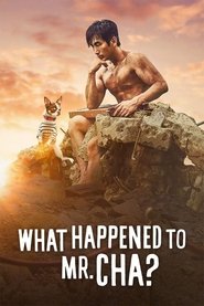 poster What Happened to Mr. Cha?