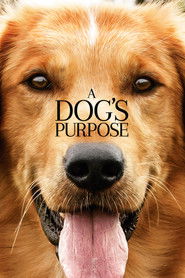 A Dog's Purpose Poster