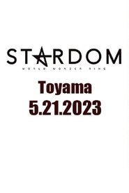 Stardom in Toyama poster