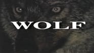 Predators of the Wild: Wolf wallpaper 