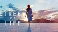Backdrop of The Tree of Life image size 1280x720