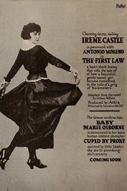 poster The First Law
