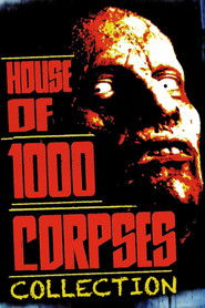 Poster image size 1000x1500