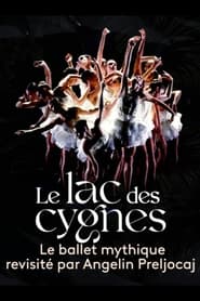 Le lac des cygnes au théâtre national de Chaillot