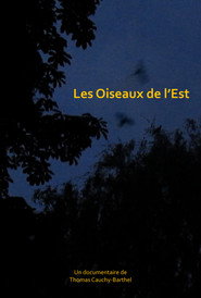 Les oiseaux de l