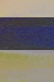 MONET VARIATION 1 poster