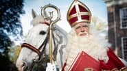 Sinterklaas Intocht 2022 wallpaper 