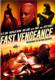 Film Fast Vengeance en streaming