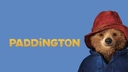 Paddington wallpaper 