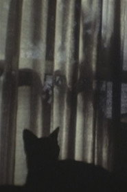 CAT ＆ CURTAIN poster
