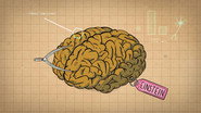 How Do You Become a Genius?