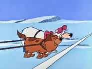 The Fastest Bear In The North