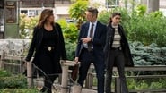 New York : Unité spéciale season 22 episode 2