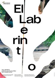 poster The Labyrinth