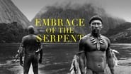 Backdrop of Embrace of the Serpent image size 3840x2160