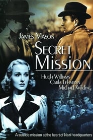 Voir film Service secret en streaming