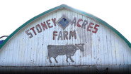 Stoney Acres Pizza Farm, Casimir Gold Maple Syrup, BroKogi